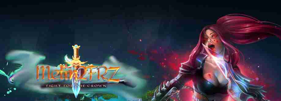 Metin2FRZ Cover Image